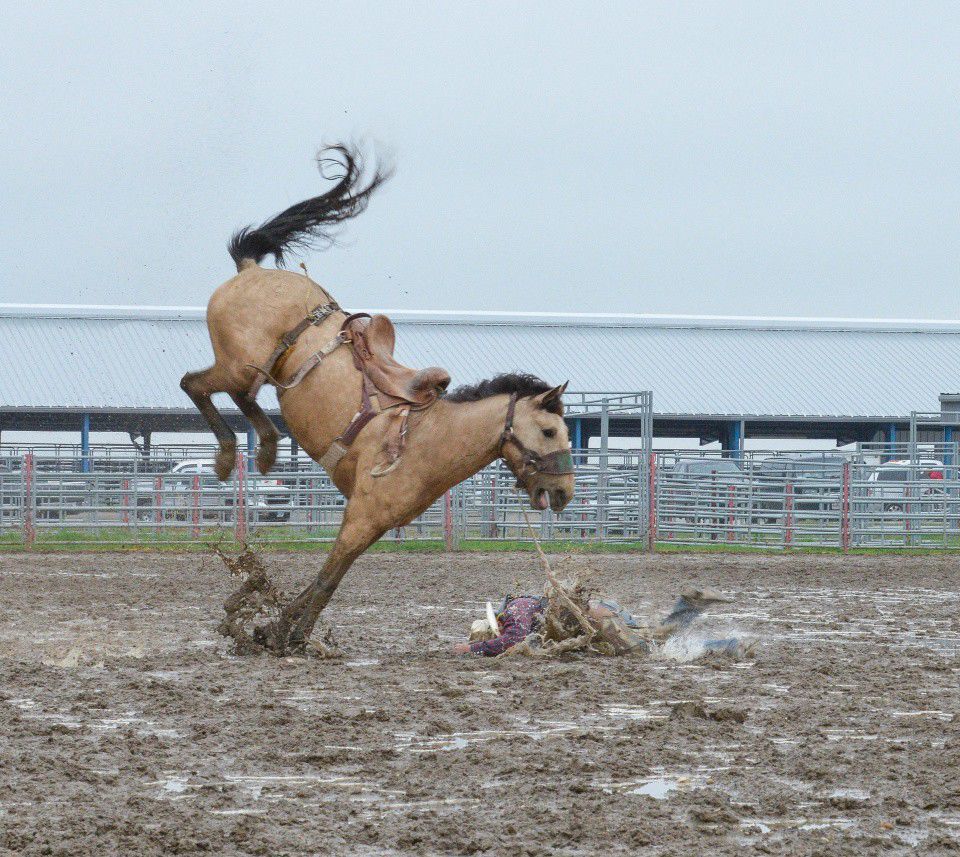 Bronc School-3.jpg